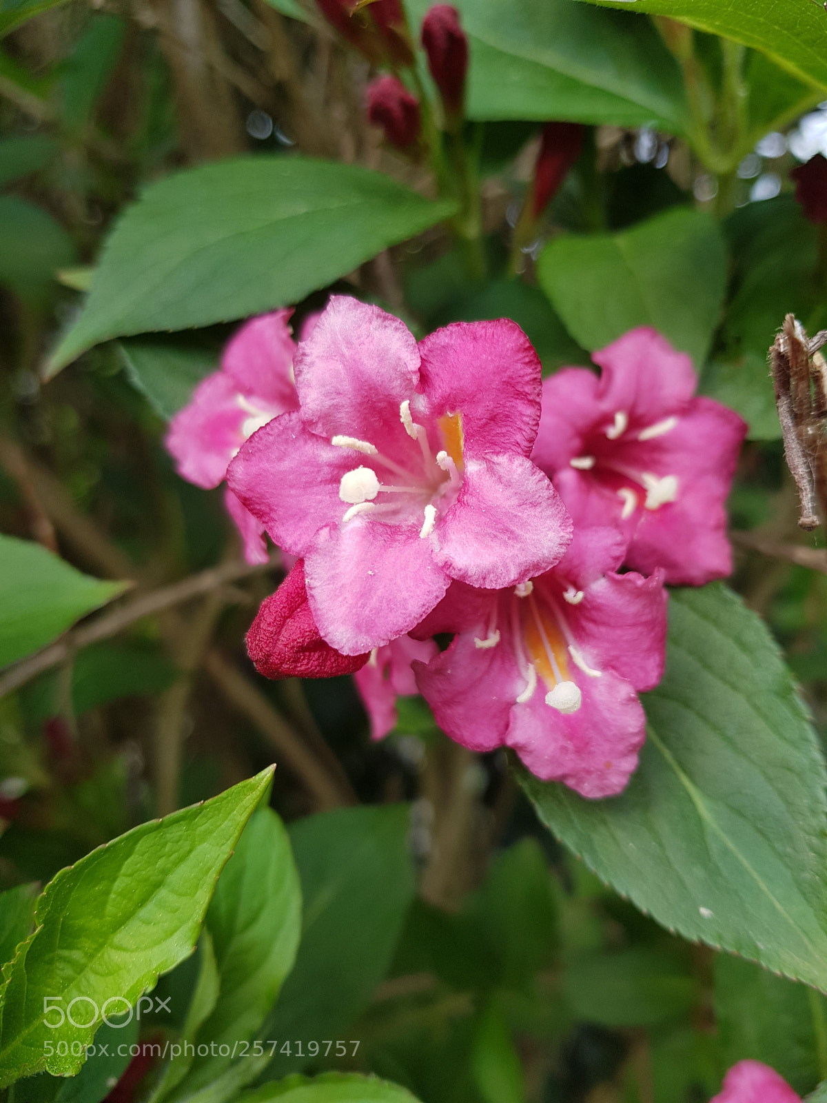 Samsung Galaxy S8 sample photo. Untitled photography