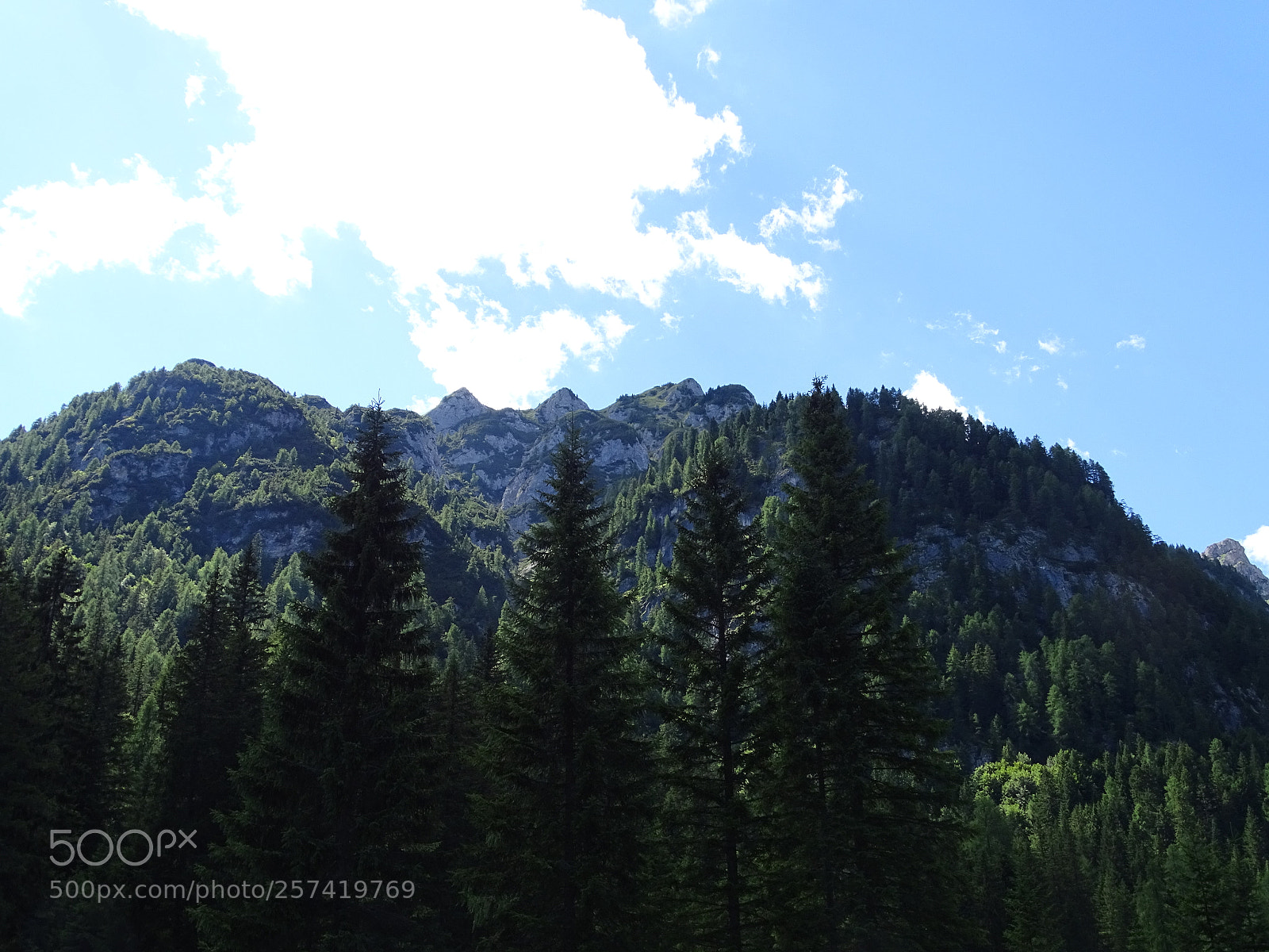 Sony Cyber-shot DSC-HX400V sample photo. Nessun zoom | no zoom photography