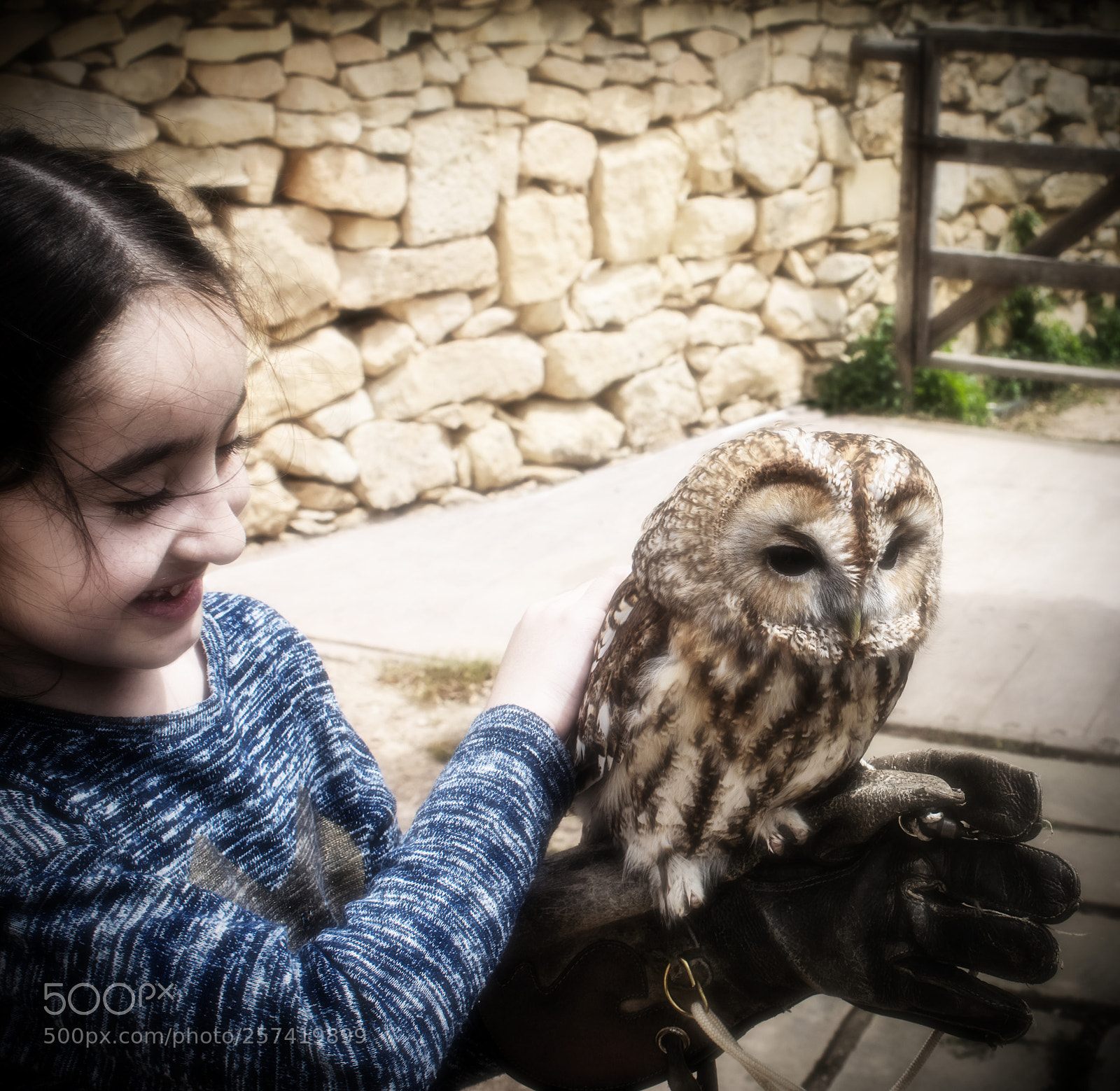 Nikon D3300 sample photo. The young falconier photography