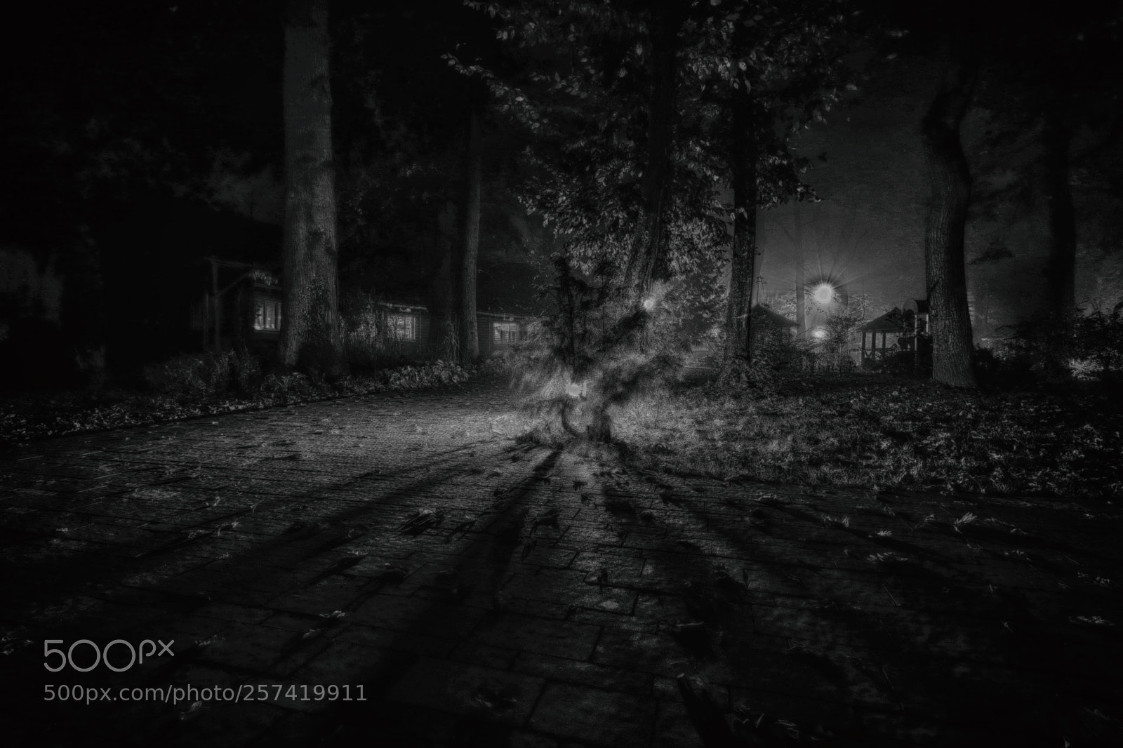Canon EOS 7D Mark II sample photo. The secret garden photography
