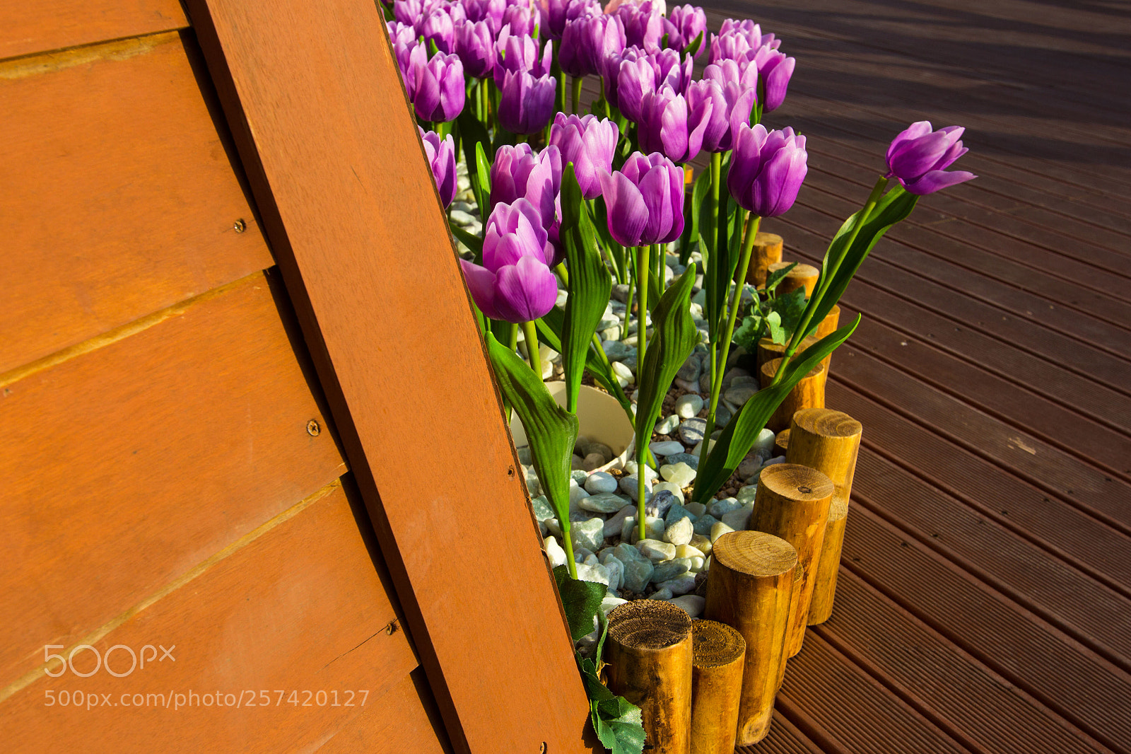 Canon EOS 60D sample photo. Untitled photography