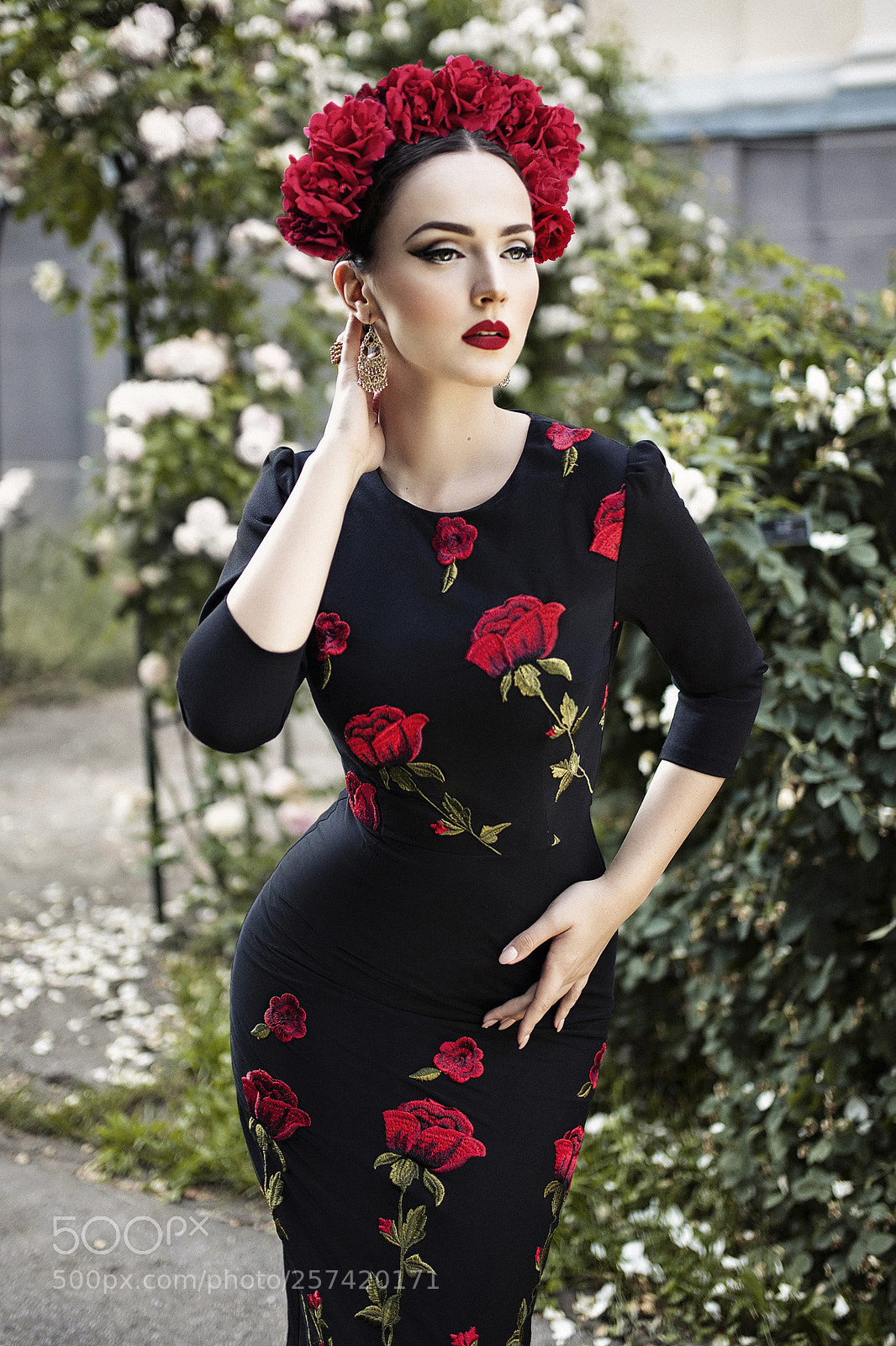 Canon EOS 5D Mark II sample photo. Queen of roses photography