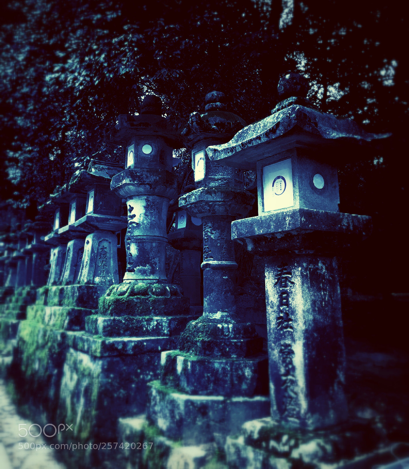 Apple iPhone SE sample photo. Chihiro  photography