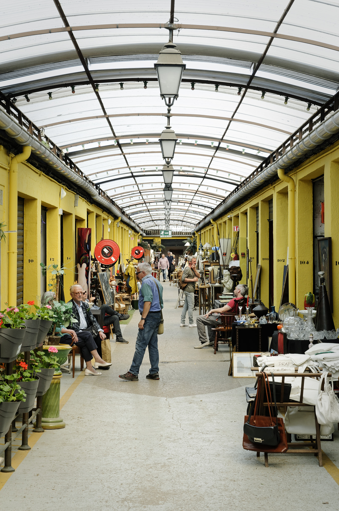 Nikon D300 sample photo. Les puces photography