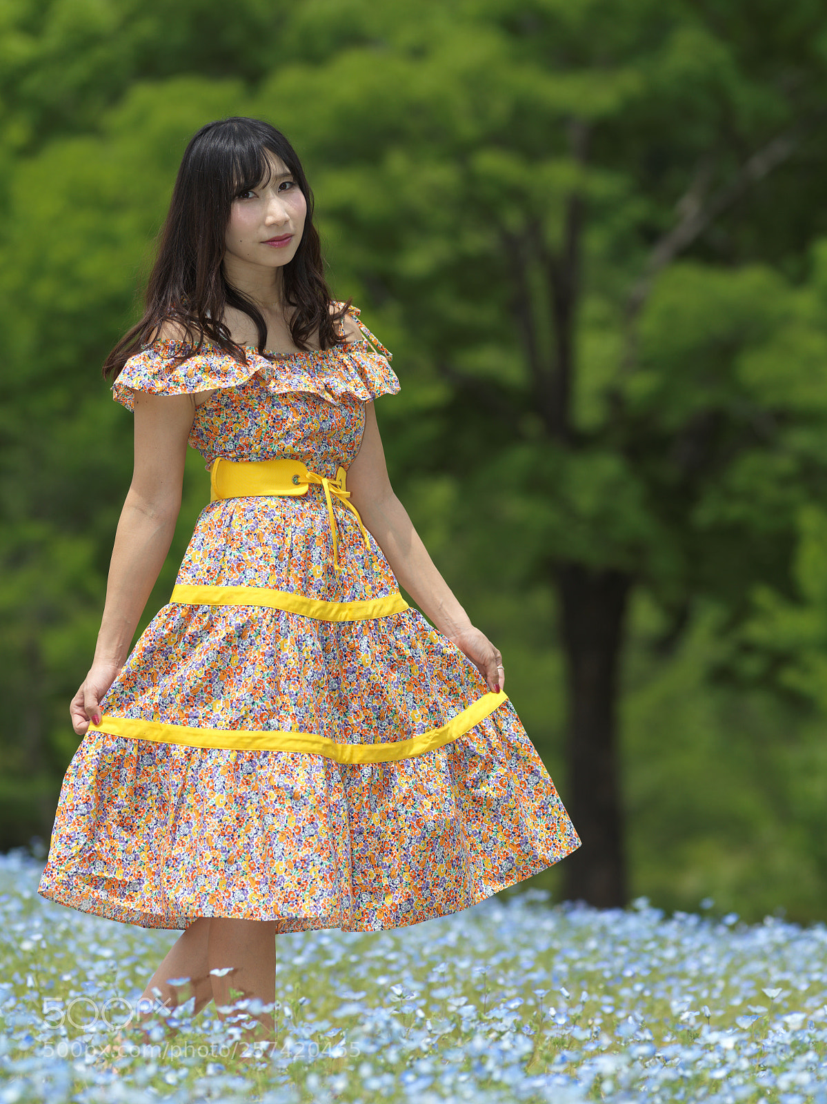 Hasselblad X1D-50c sample photo. Again flower garden photography