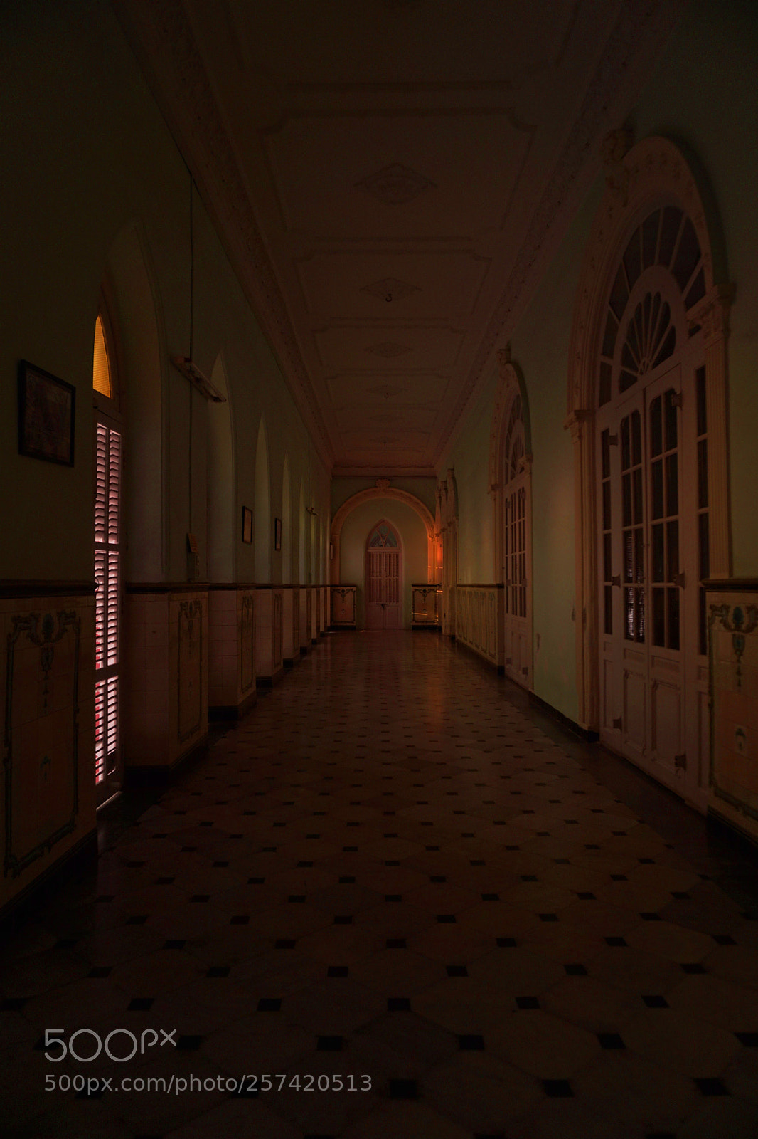 Sony a6300 sample photo. Dsc photography