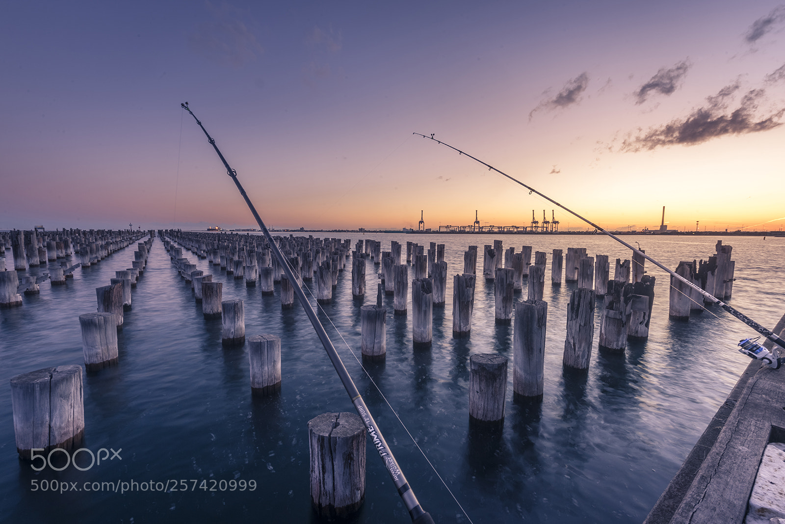 Nikon D810 sample photo. Princes pier photography