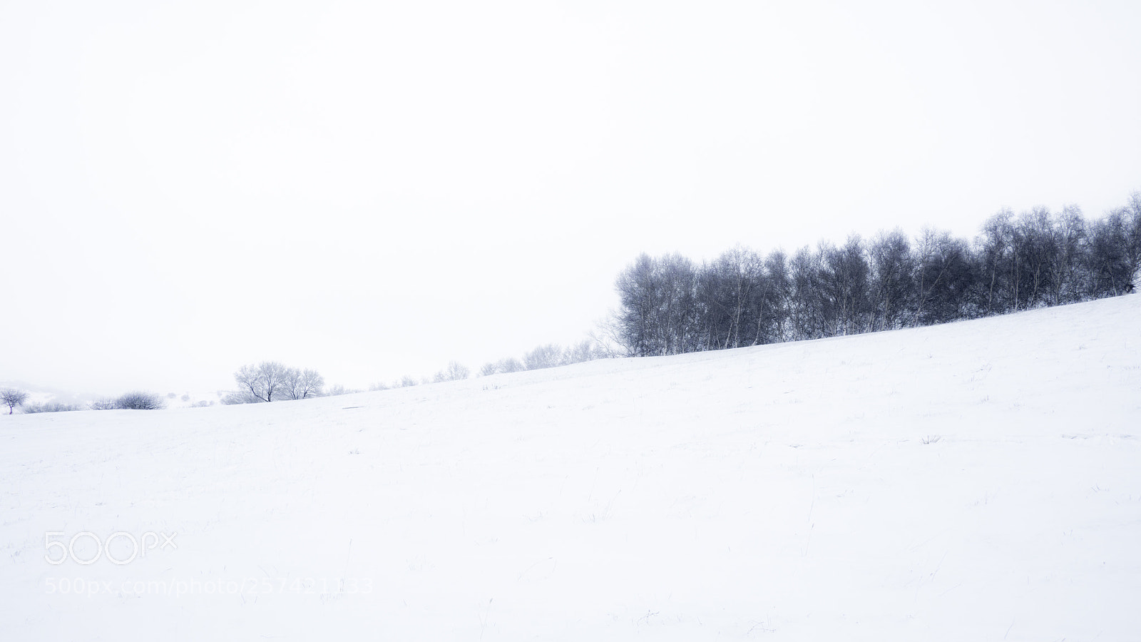 Olympus OM-D E-M10 sample photo. 水墨雪域 7 photography