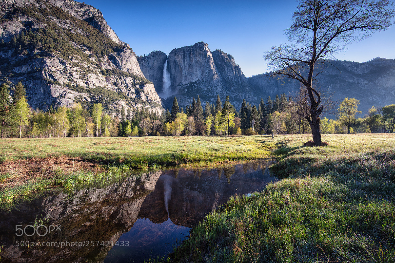 Canon EOS 5DS R sample photo. Meadow morning photography