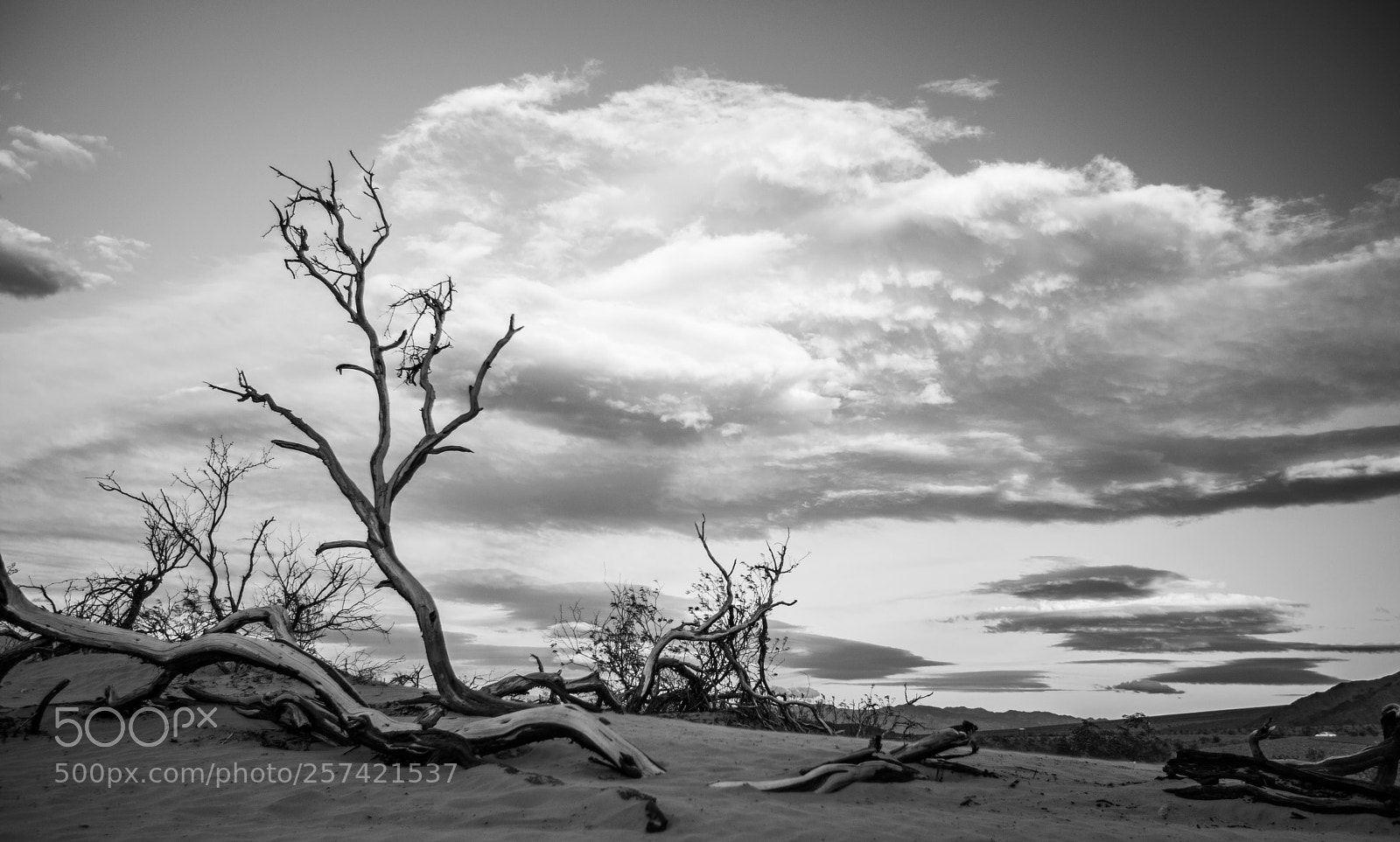 Canon EOS 5D Mark IV sample photo. Mesquite flat sand dunes photography