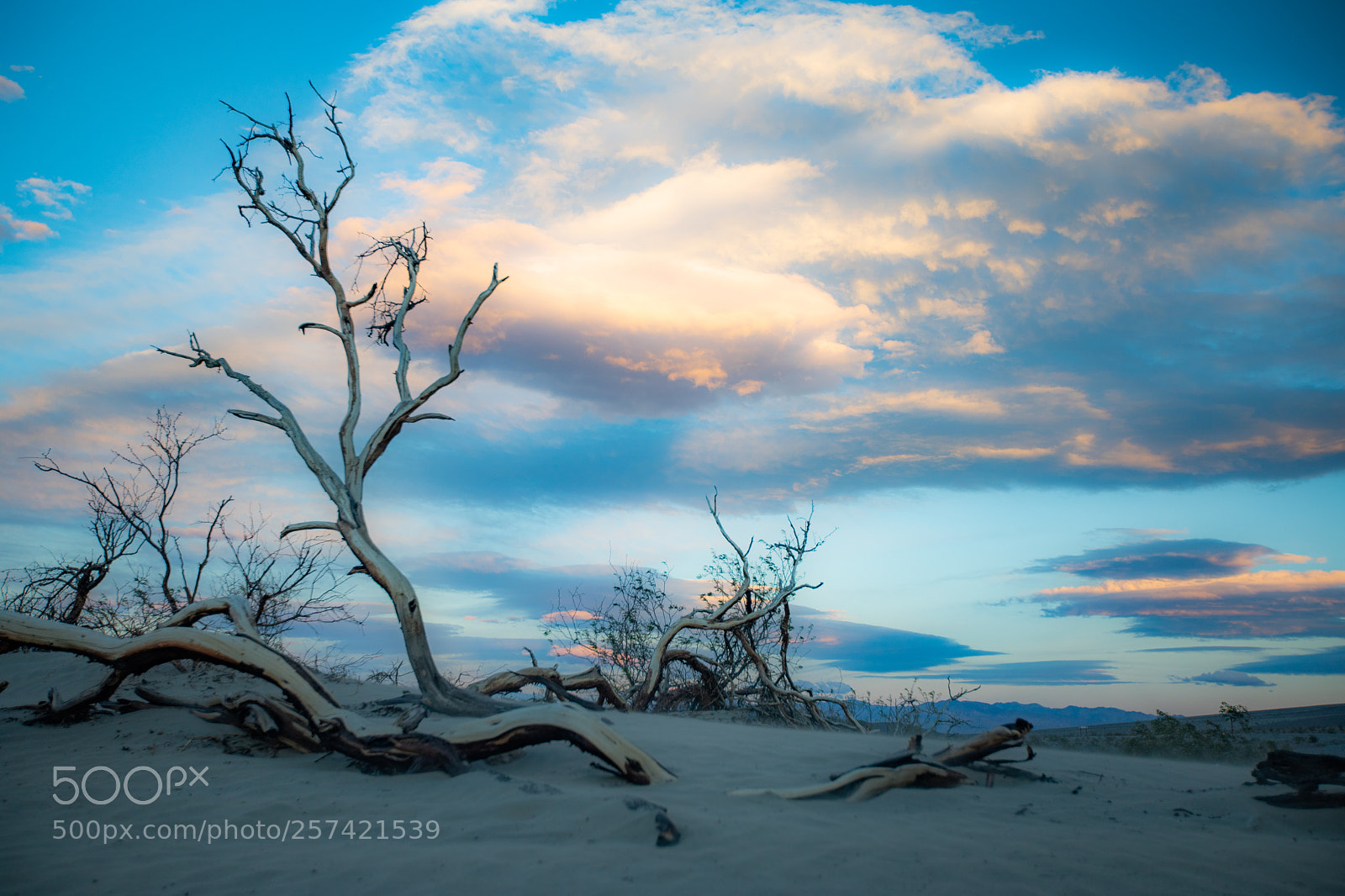 Canon EOS 5D Mark IV sample photo. Mesquite flat sand dunes photography