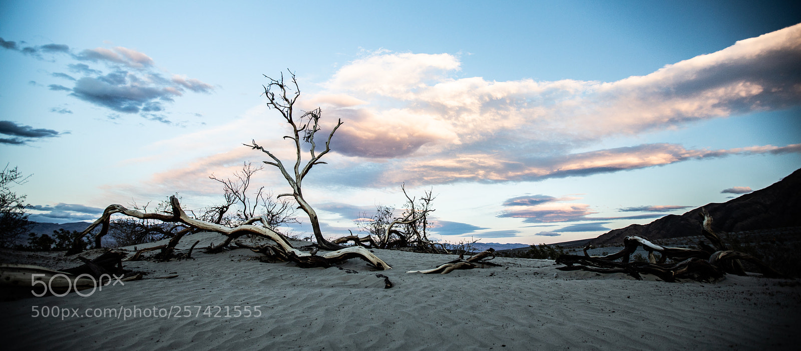 Canon EOS 5D Mark IV sample photo. Mesquite flat sand dunes photography