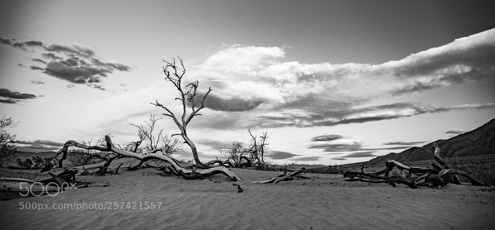 Canon EOS 5D Mark IV sample photo. Mesquite flat sand dunes photography