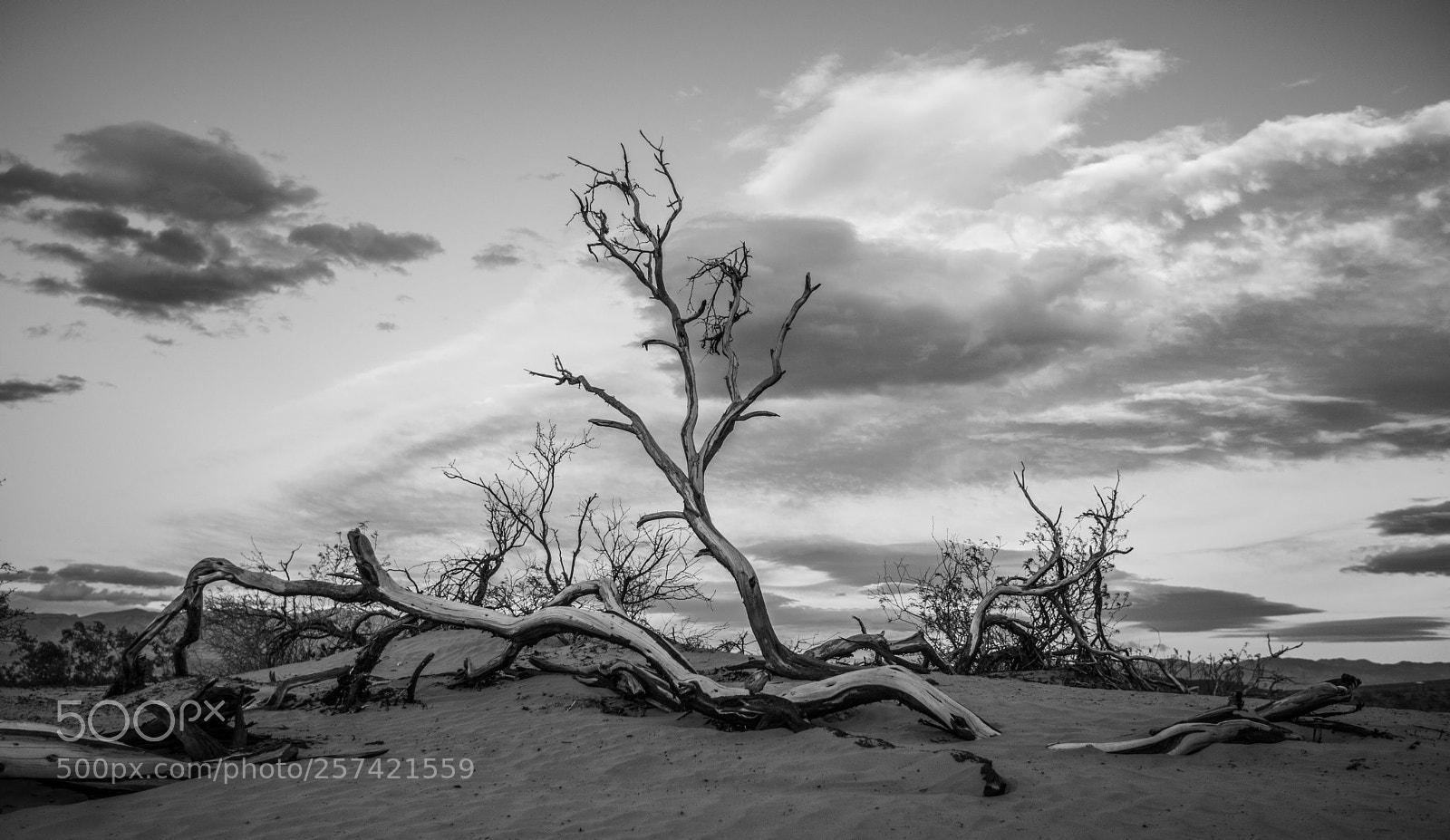 Canon EOS 5D Mark IV sample photo. Mesquite flat sand dunes photography