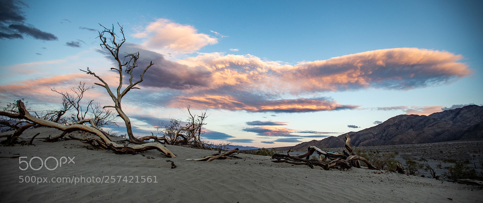 Canon EOS 5D Mark IV sample photo. Mesquite flat sand dunes photography