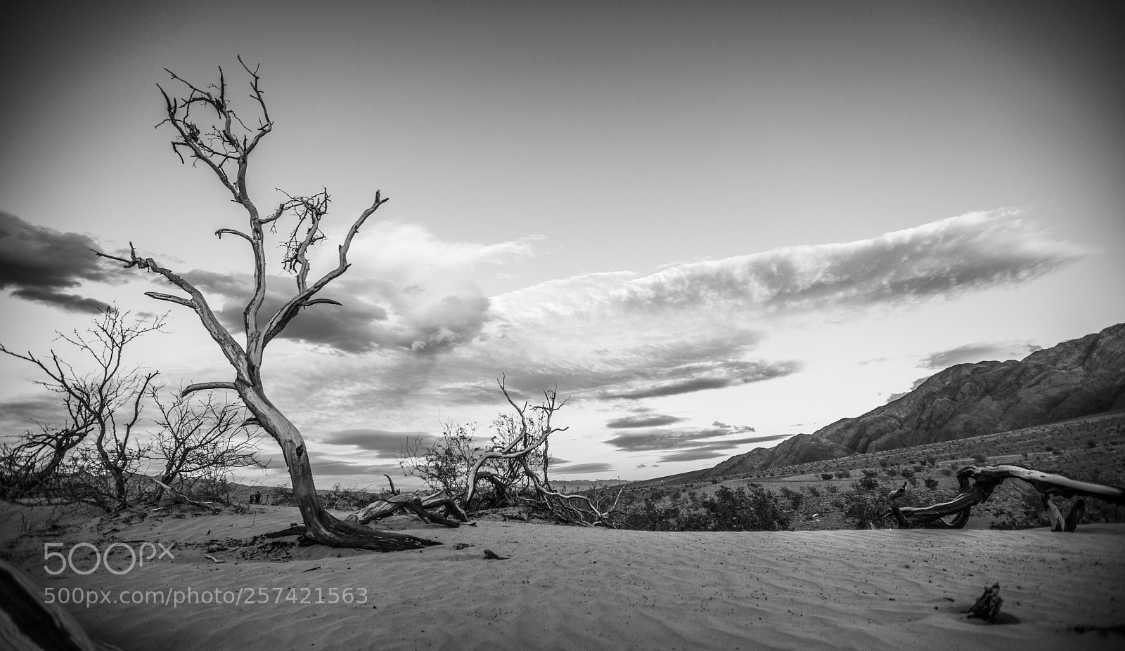 Canon EOS 5D Mark IV sample photo. Mesquite flat sand dunes photography