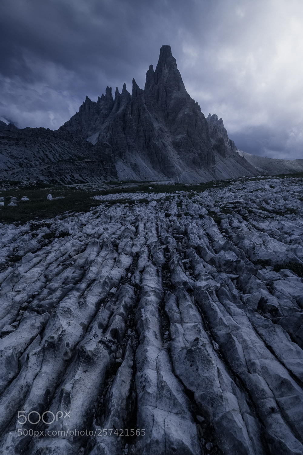 Nikon D7200 sample photo. Dragon's skin photography