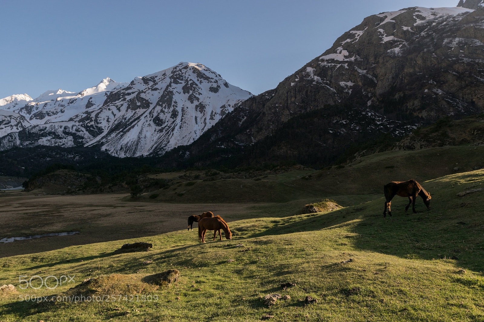 Nikon D5300 sample photo. Вечер в урочище Уштулу photography