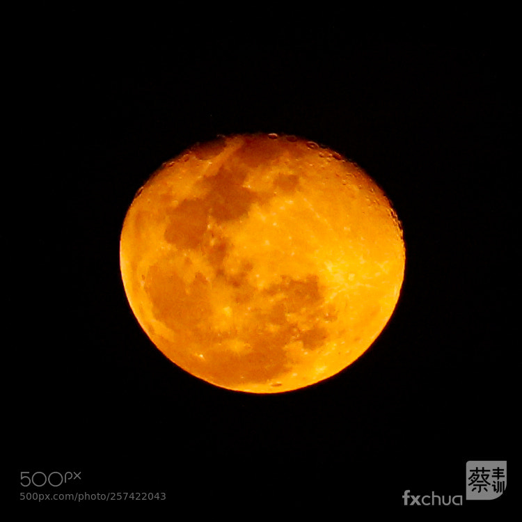 Canon EOS 5DS R sample photo. Golden moonrise photography
