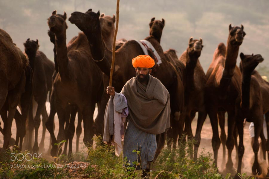 Sony a7 sample photo. Pushkar mela. rajasthan photography