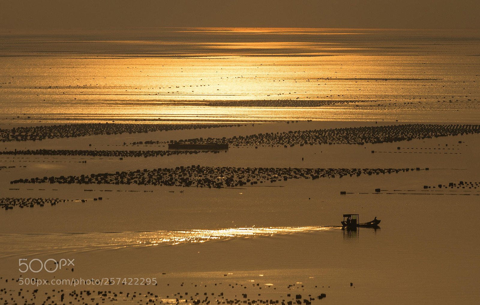 Canon EOS 5D Mark IV sample photo. Go to the sea photography