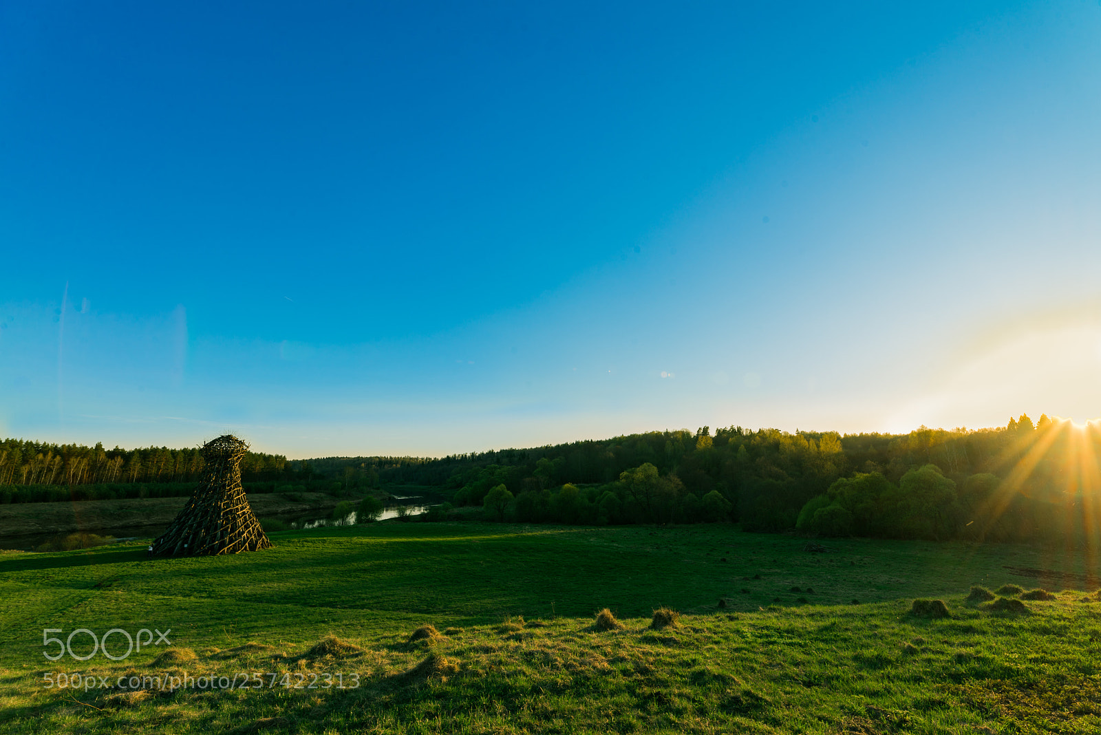 Nikon D600 sample photo. Untitled photography