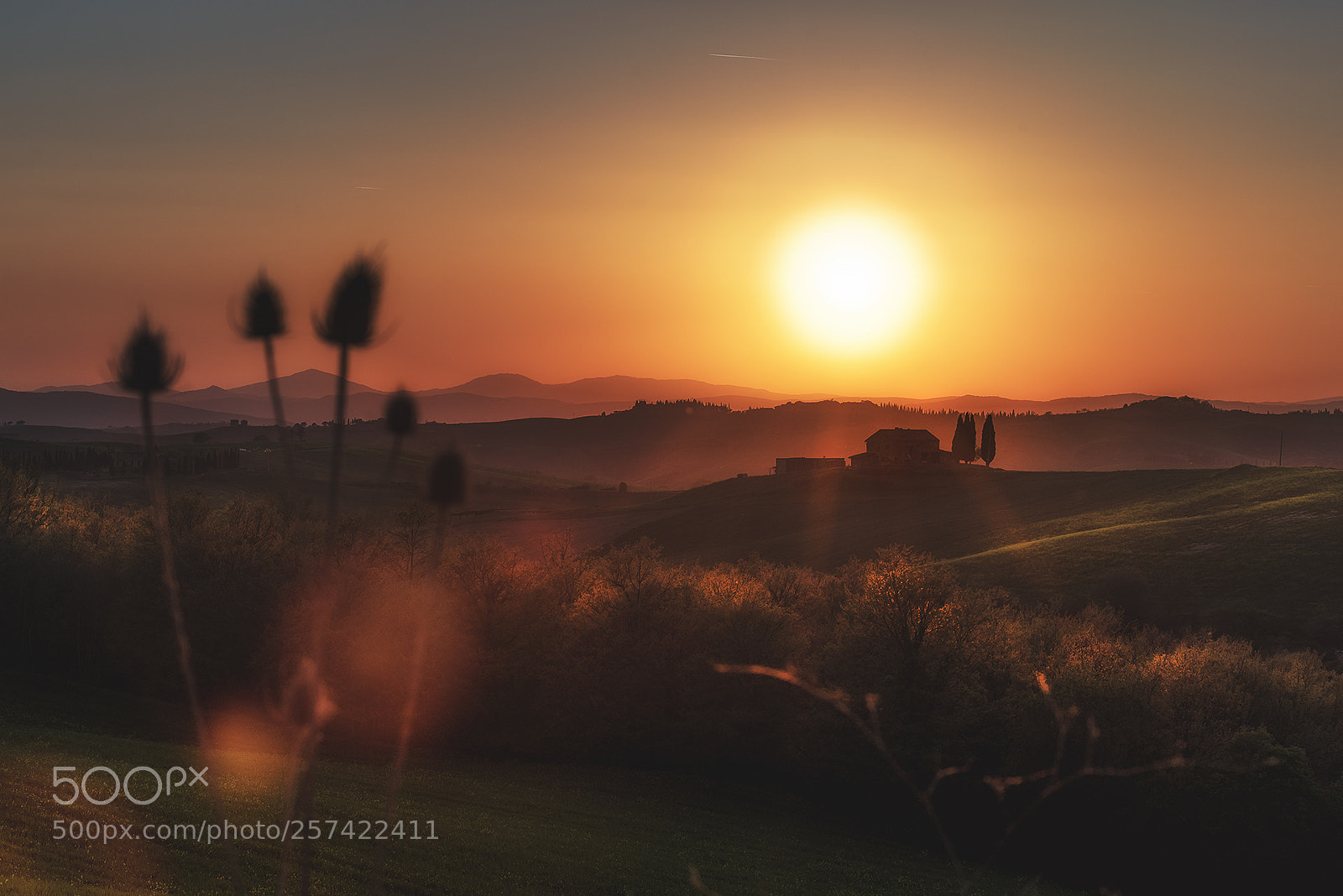 Nikon D750 sample photo. Sunset in val d'orcia photography