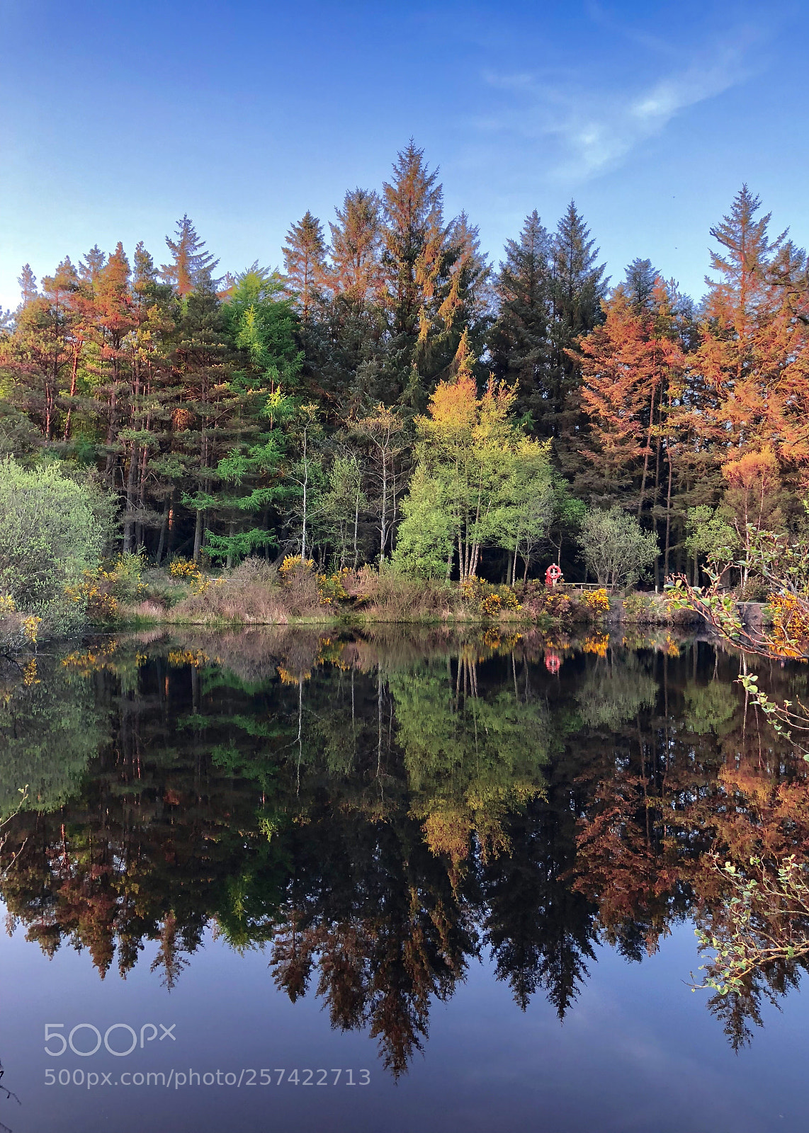 Apple iPhone 8 Plus sample photo. On reflection photography