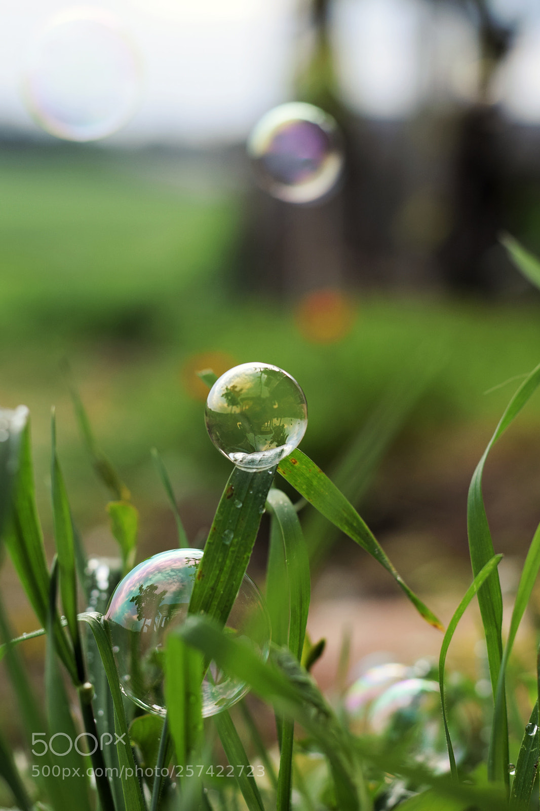 Nikon D5300 sample photo. Bubbles time photography