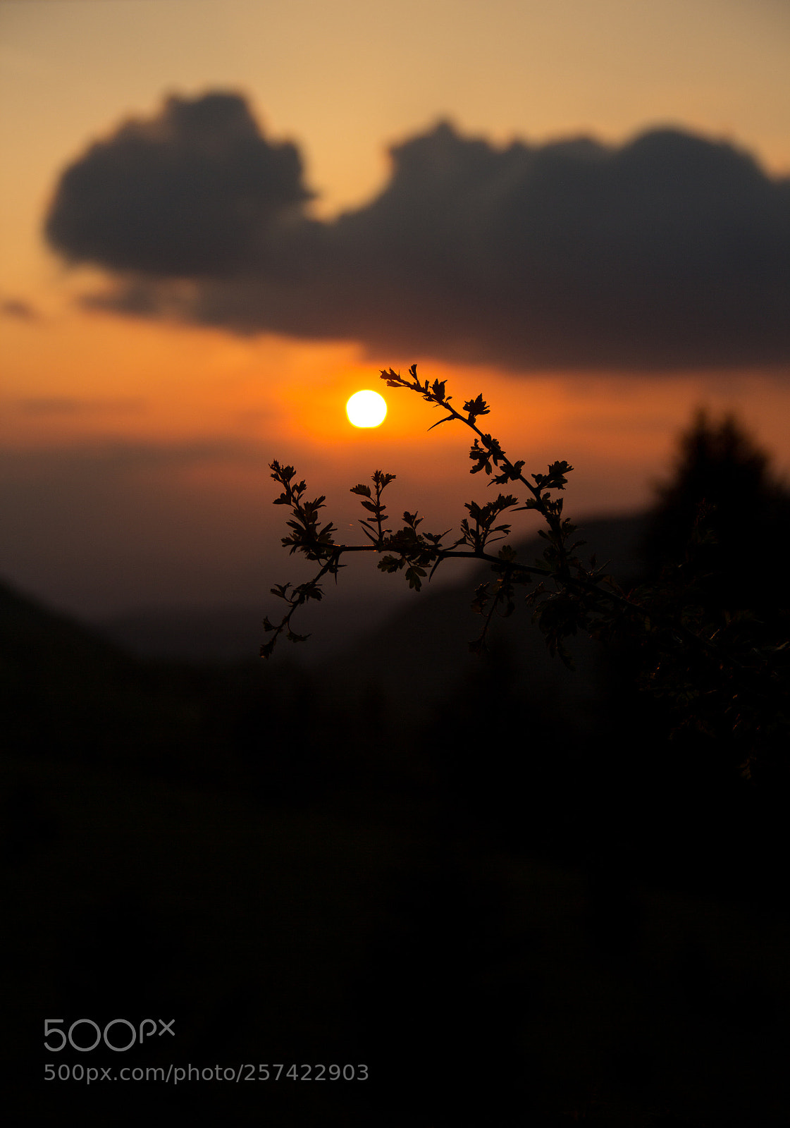 Canon EOS 60D sample photo. Sunsets photography