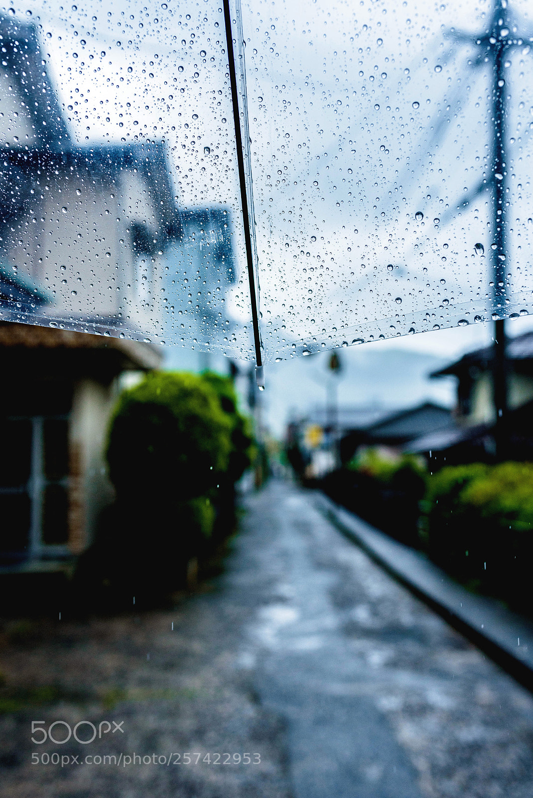 Nikon D750 sample photo. Untitled photography