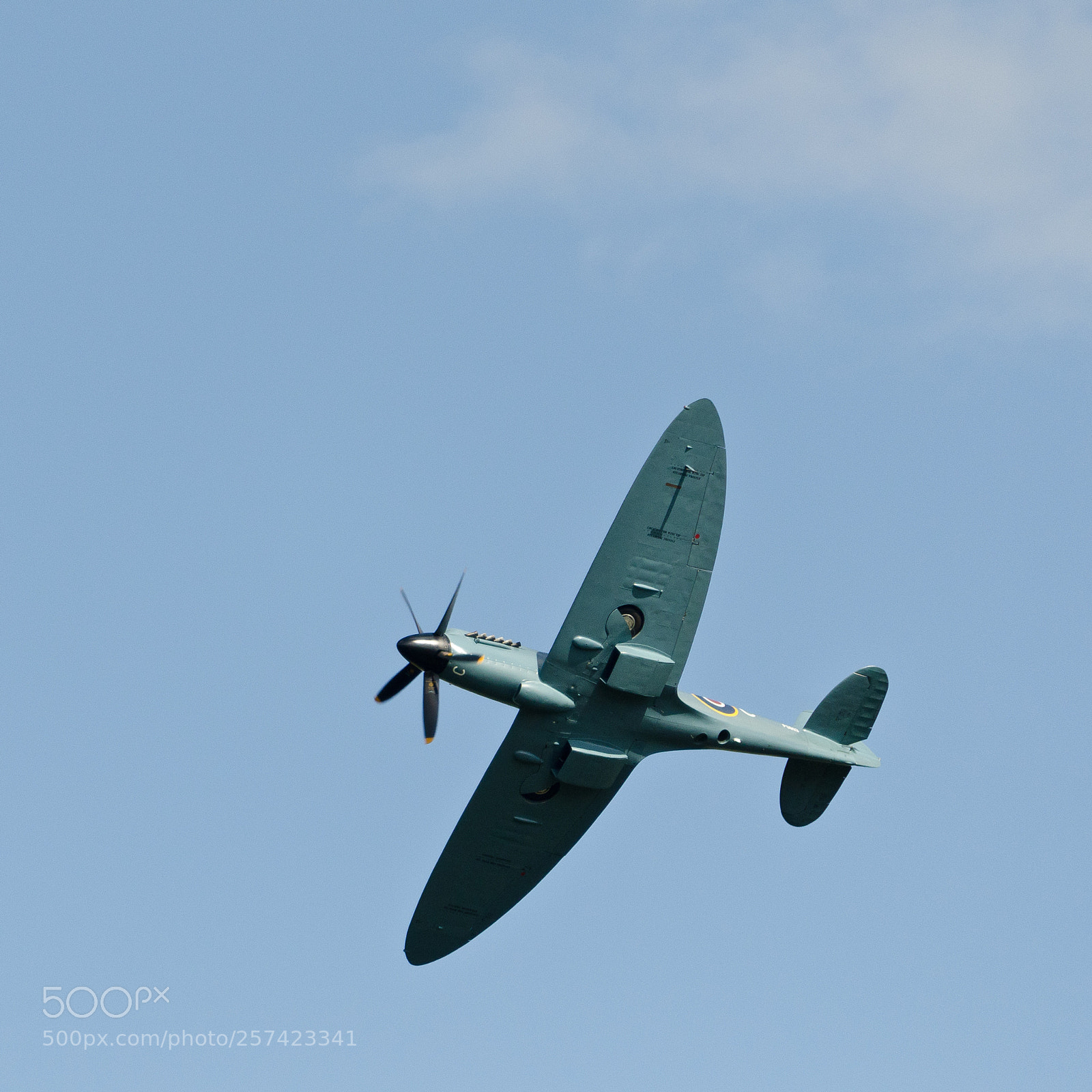 Nikon D7000 sample photo. Spitfire takes a dive photography