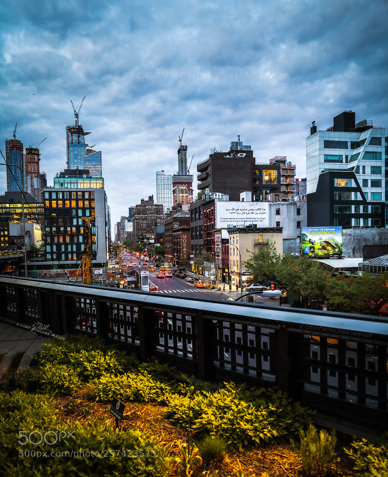 Canon EOS 5D Mark IV sample photo. Postcard from the high photography