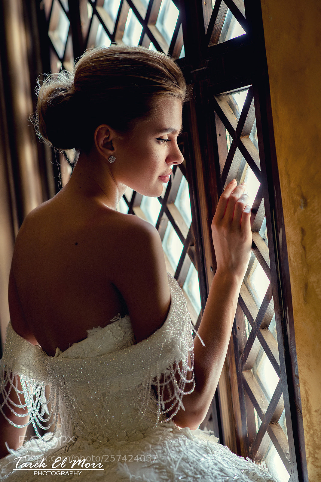 Nikon D610 sample photo. Beauty of natural light photography