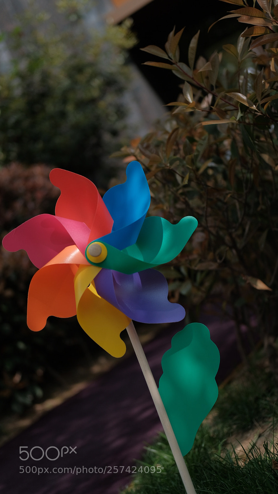 Fujifilm X-E3 sample photo. Untitled photography
