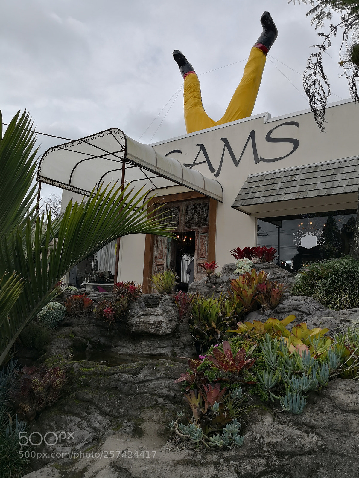 HUAWEI Mate 10 Pro sample photo. Uncle mcdonald's leg photography