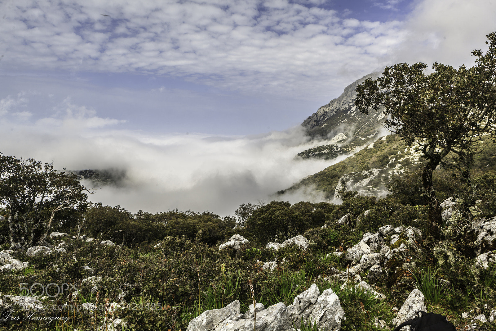 Canon EOS 5D Mark II sample photo. Kelti summit photography