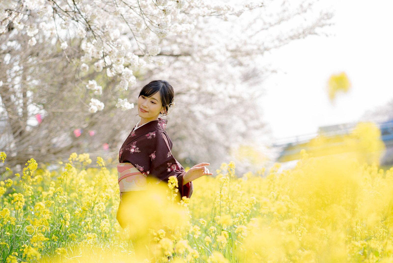 Sony a7 II sample photo. Dsc photography