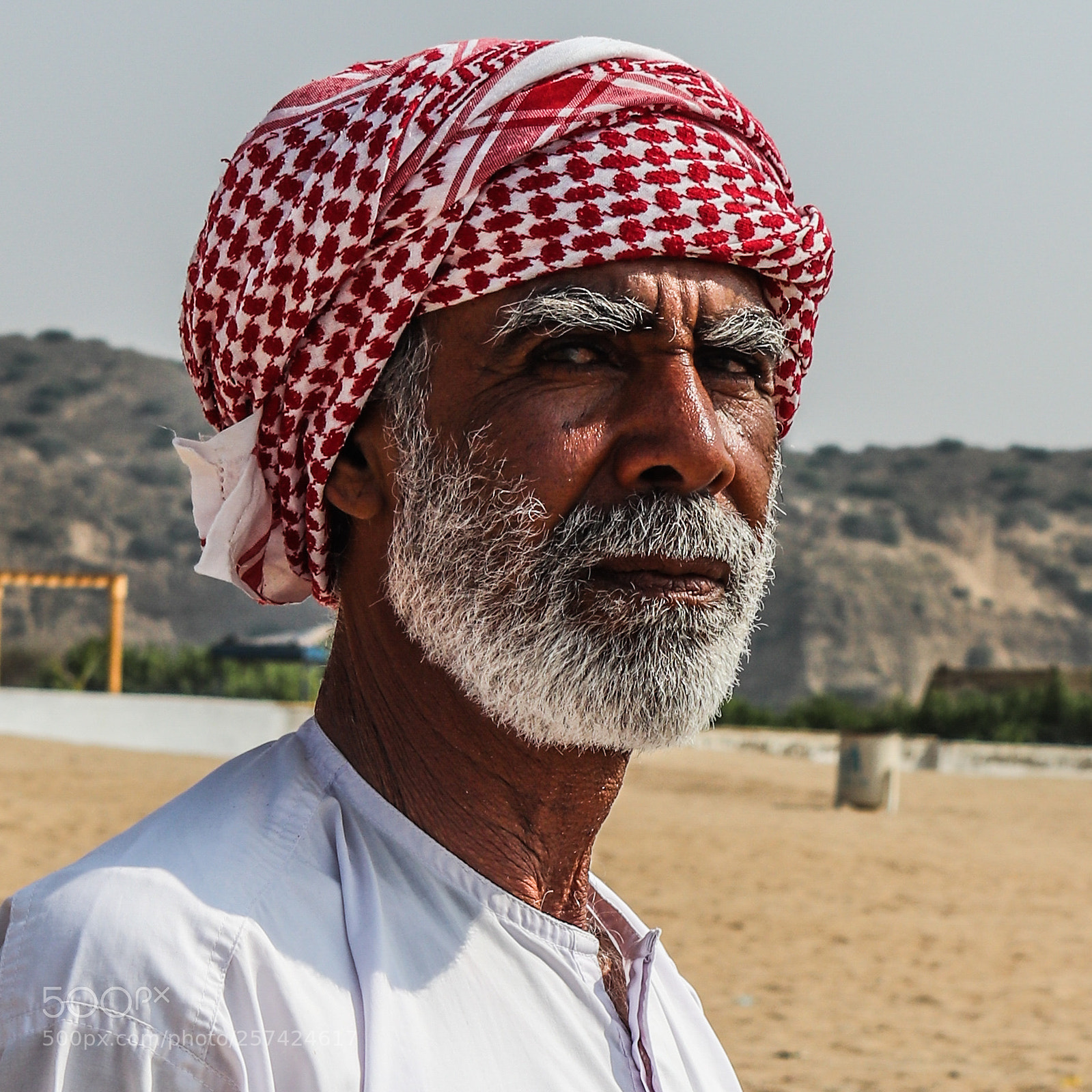 Canon EOS 77D (EOS 9000D / EOS 770D) sample photo. Untitled photography