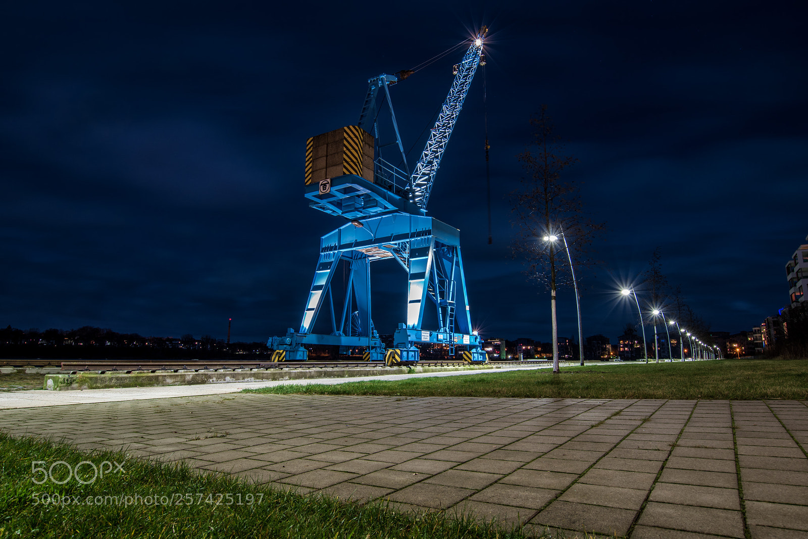 Nikon D5600 sample photo. Blue giant photography