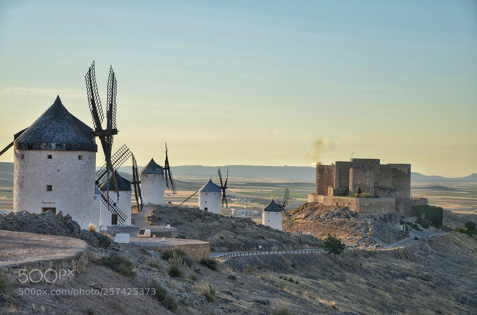 Nikon D5100 sample photo. Que no son gigantes photography