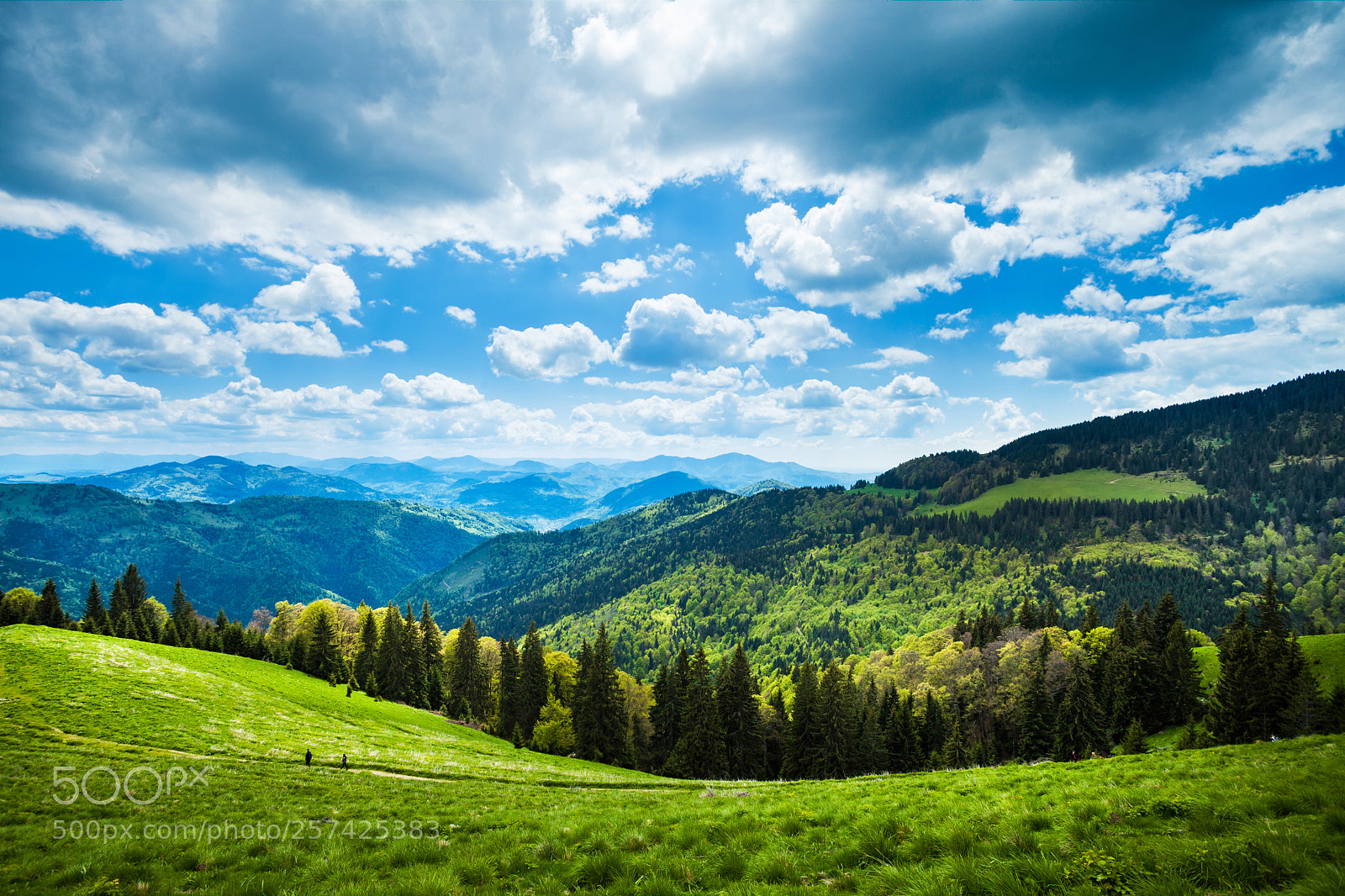 Canon EOS 5D Mark II sample photo. Mountain path landscape, rodnei photography