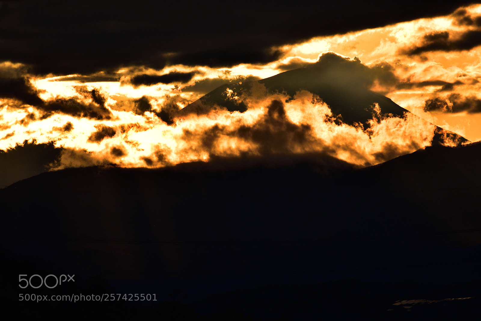 Nikon D810 sample photo. Untitled photography