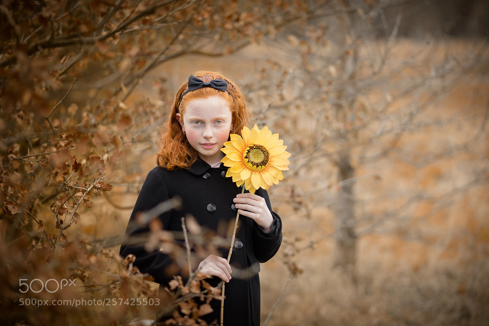 Sony a7 II sample photo. Sunflower photography