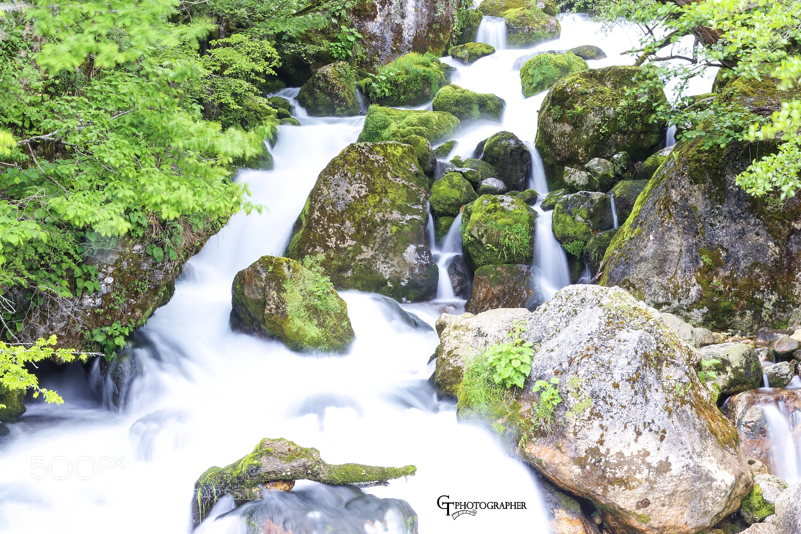 Canon EOS 6D sample photo. Img photography