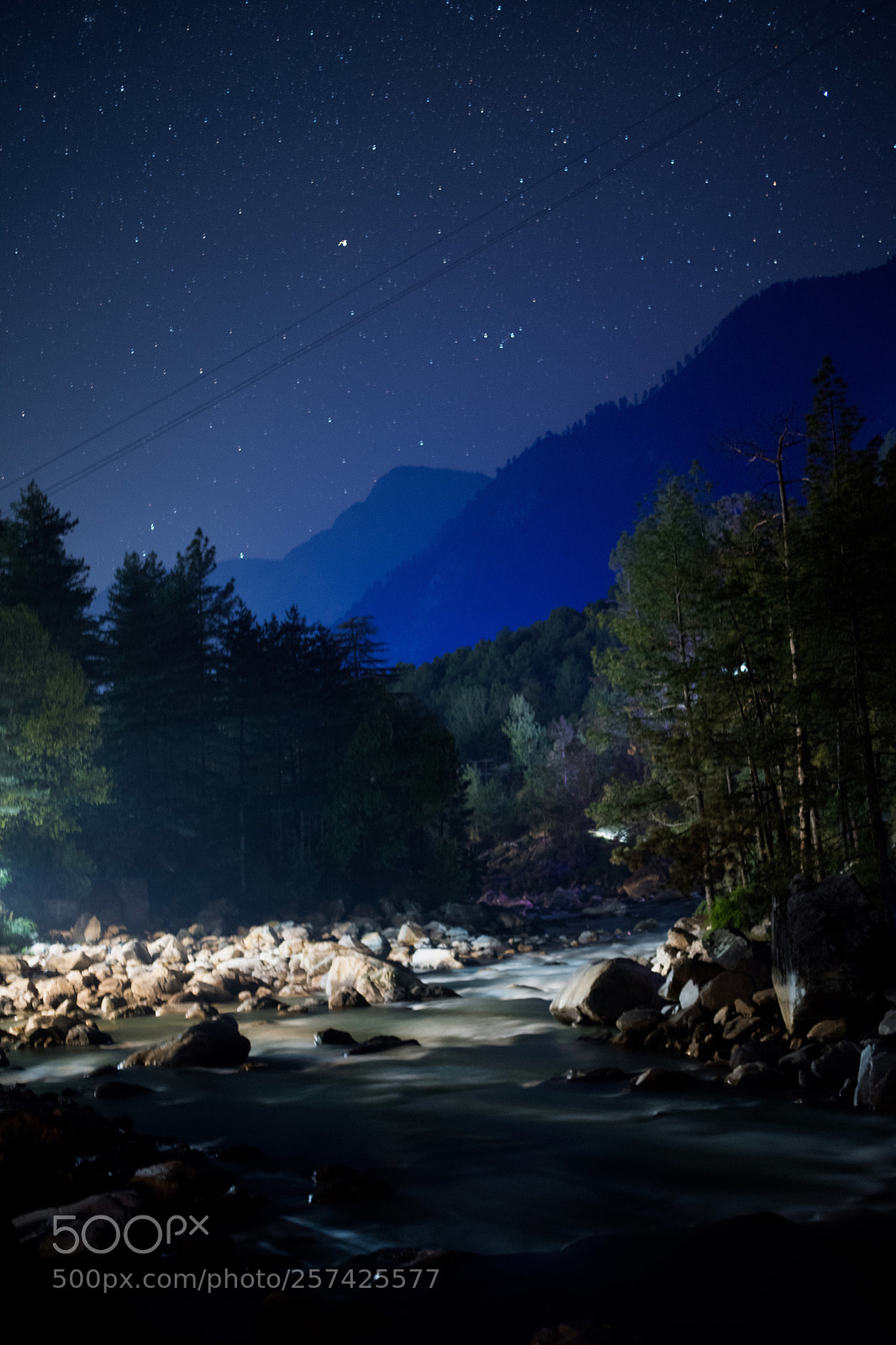 Nikon D850 sample photo. Untitled photography