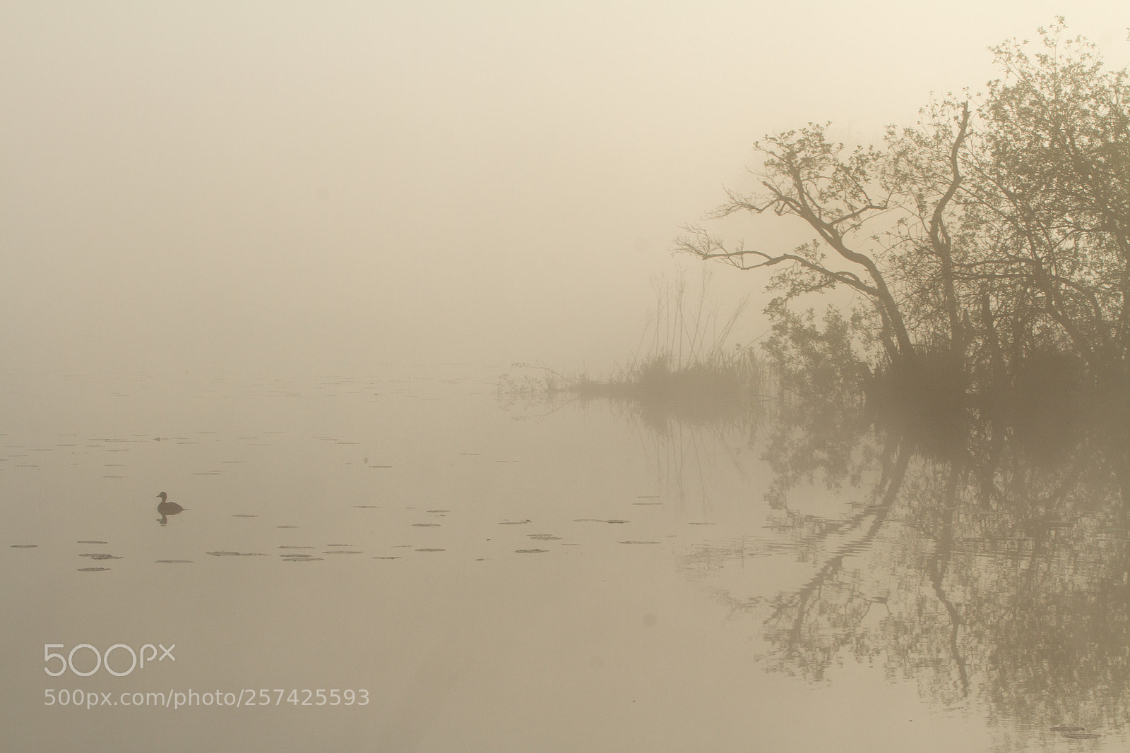 Canon EOS 7D sample photo. De wieden photography
