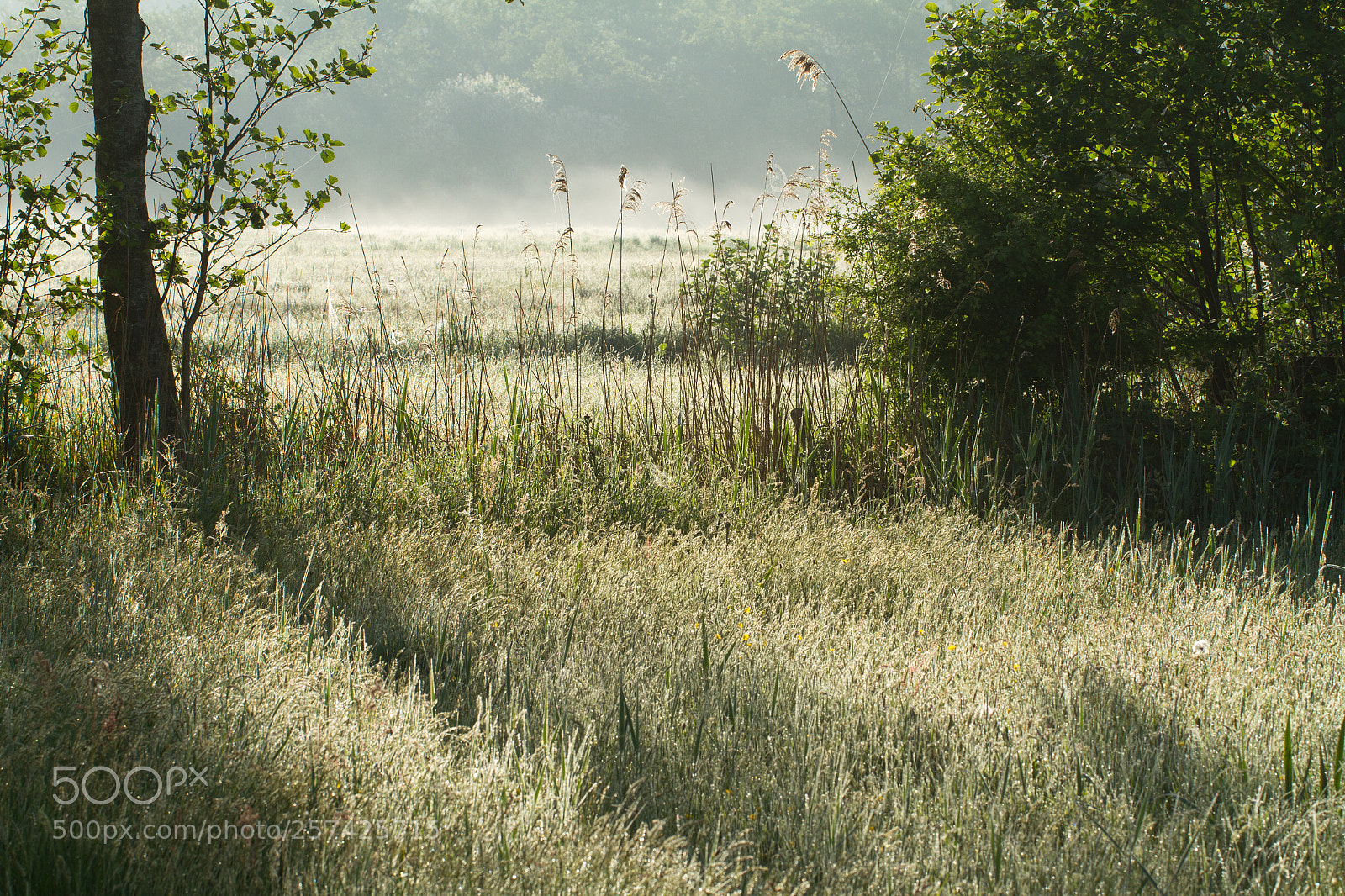Canon EOS 7D sample photo. Sunrise photography