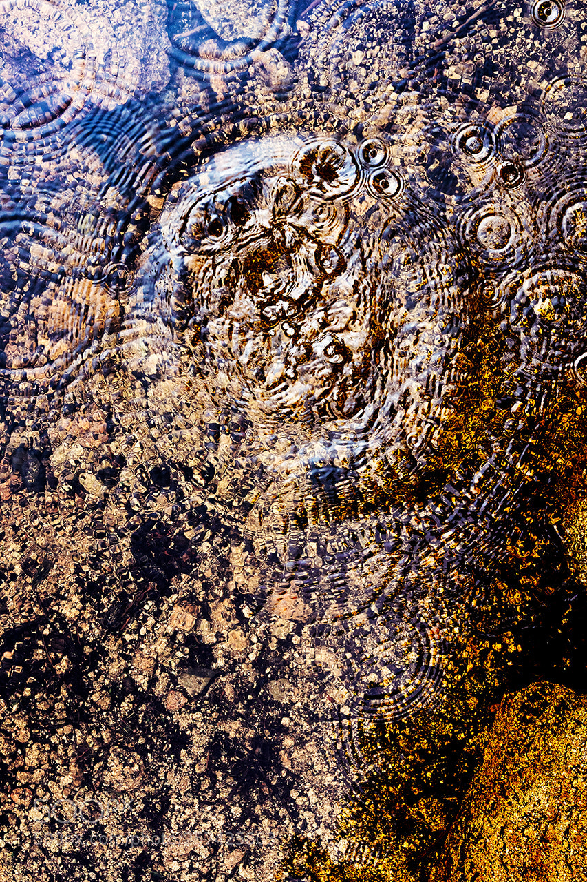Sony a6300 sample photo. Circles on the water. photography