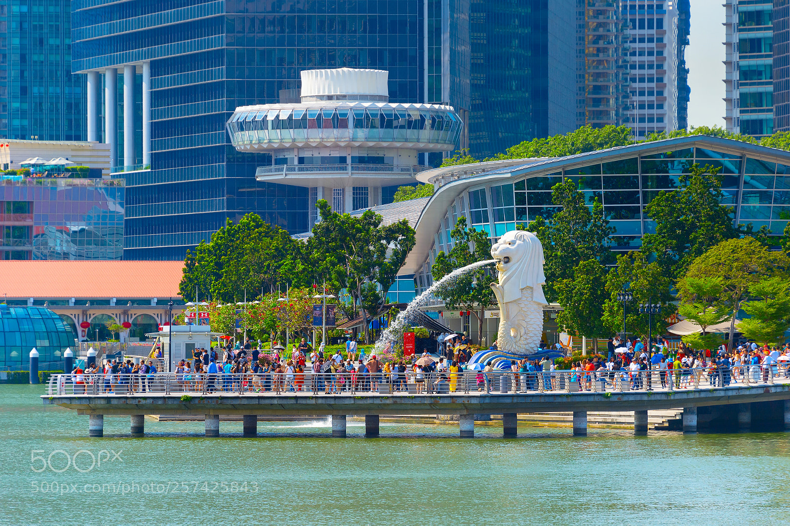 Nikon Df sample photo. People merlion fountain statue photography